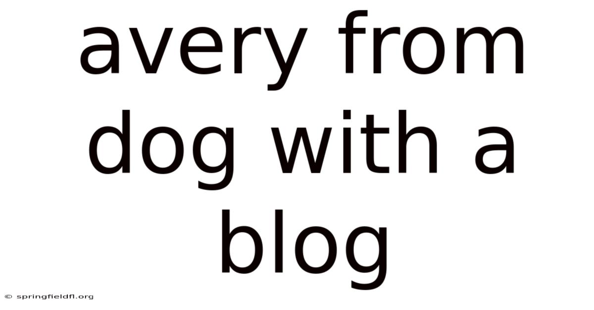 Avery From Dog With A Blog