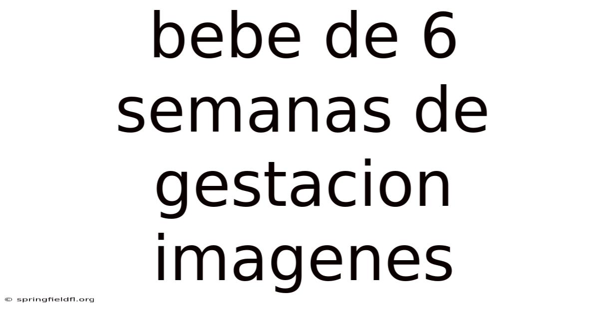 Bebe De 6 Semanas De Gestacion Imagenes