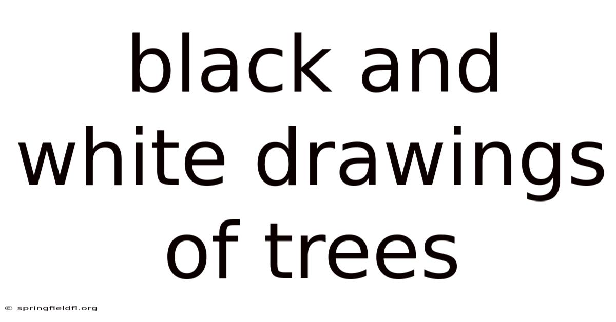 Black And White Drawings Of Trees