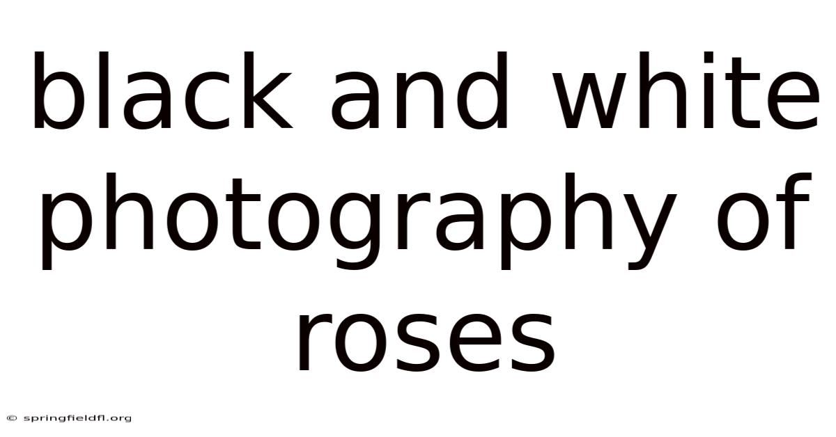 Black And White Photography Of Roses