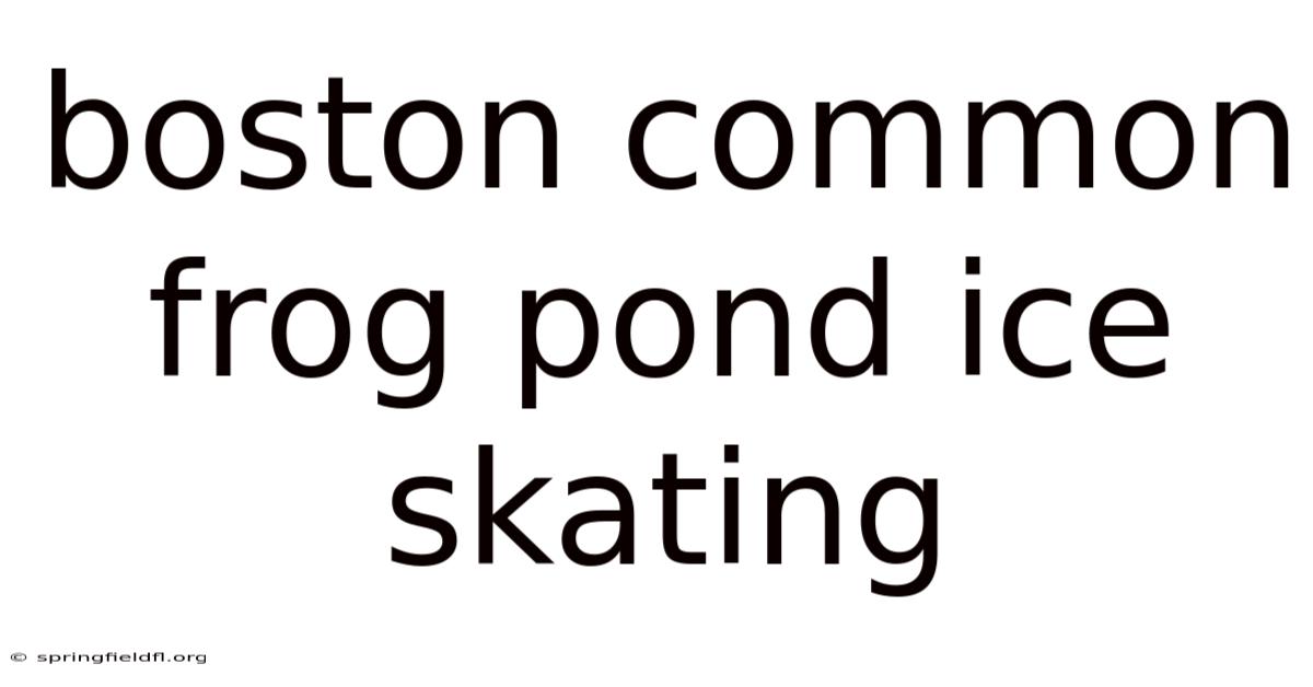 Boston Common Frog Pond Ice Skating