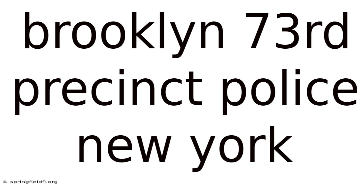 Brooklyn 73rd Precinct Police New York