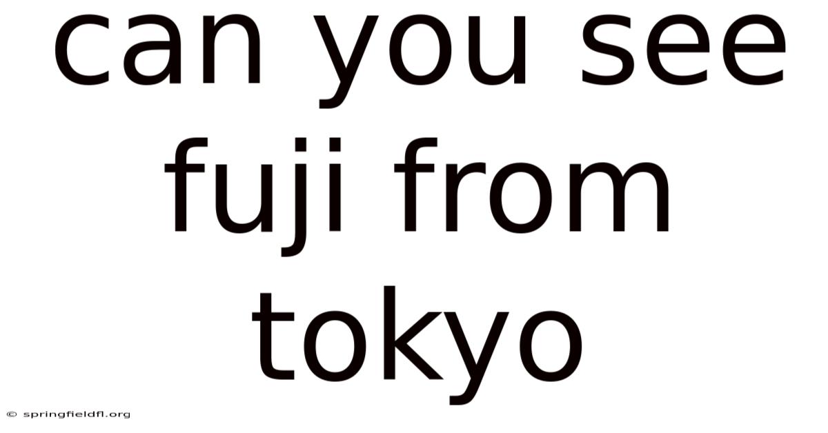 Can You See Fuji From Tokyo