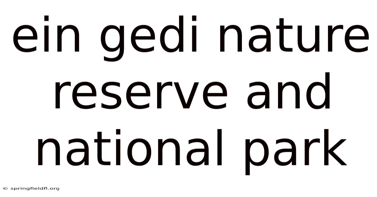 Ein Gedi Nature Reserve And National Park