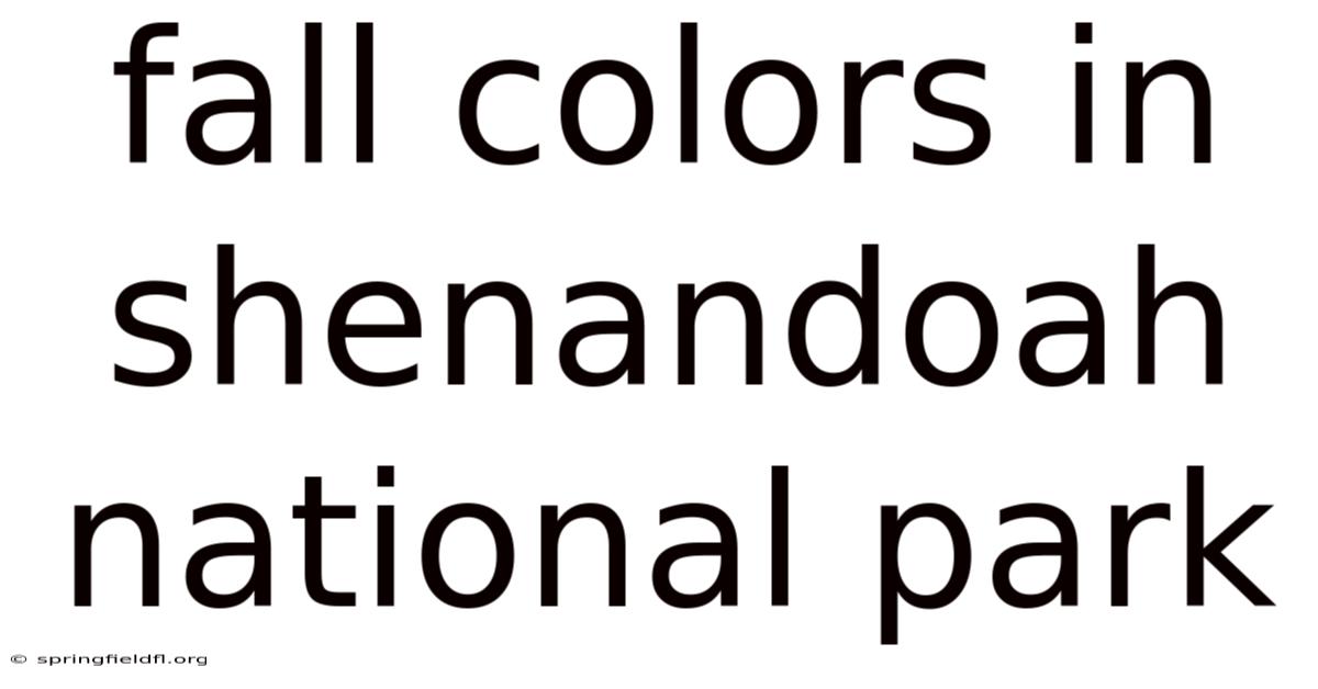 Fall Colors In Shenandoah National Park