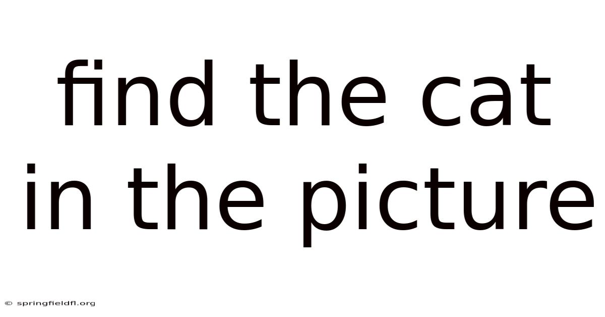 Find The Cat In The Picture