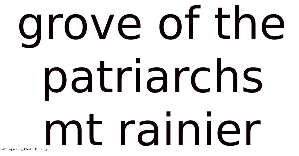 Grove Of The Patriarchs Mt Rainier