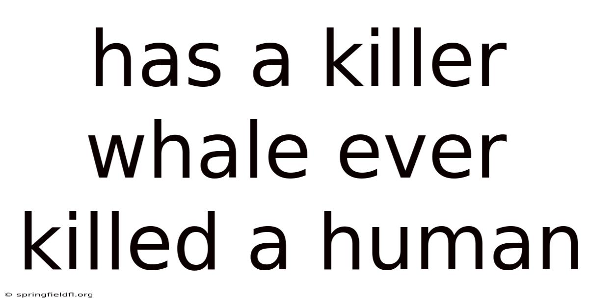 Has A Killer Whale Ever Killed A Human