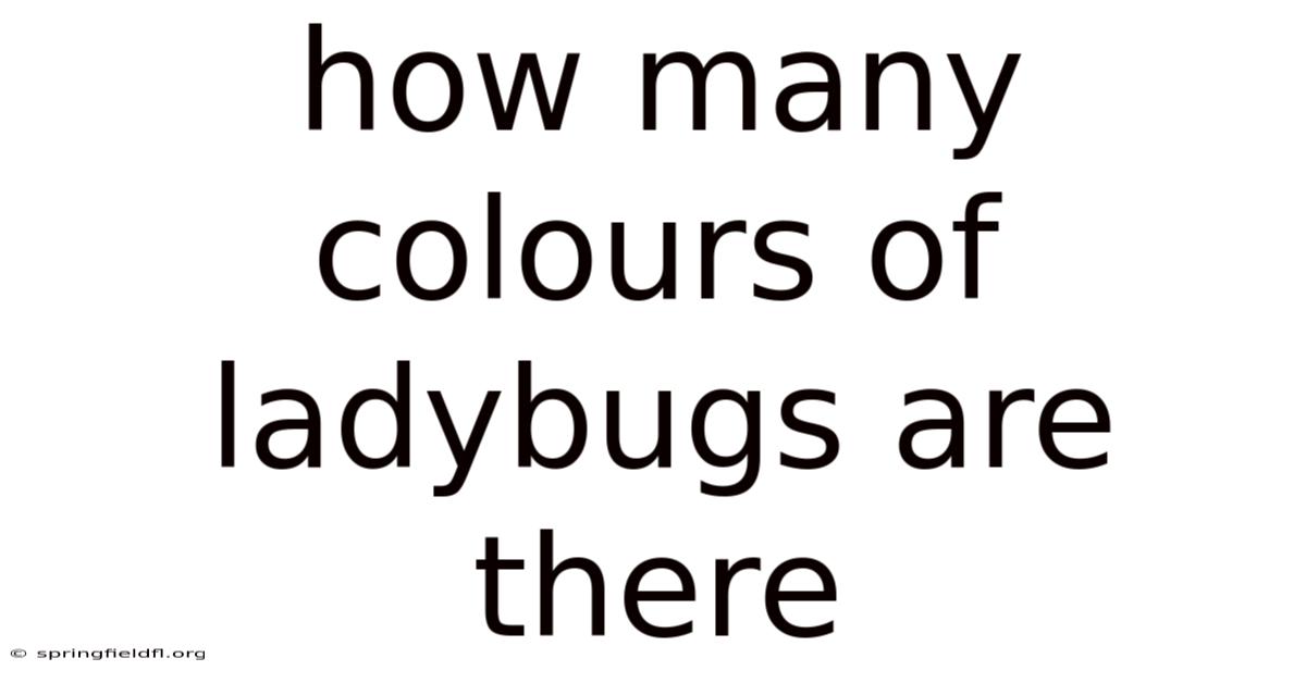 How Many Colours Of Ladybugs Are There