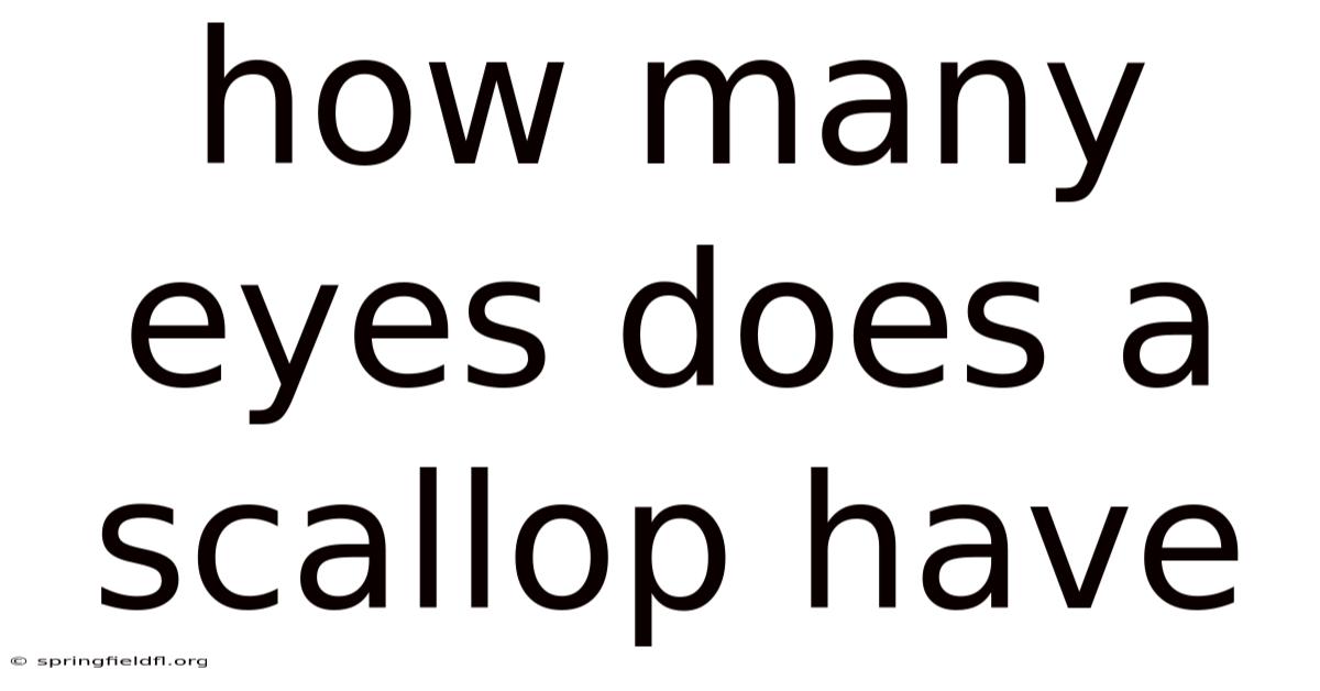 How Many Eyes Does A Scallop Have