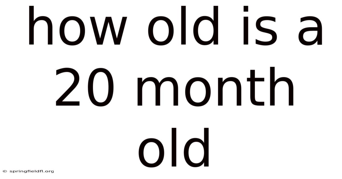How Old Is A 20 Month Old