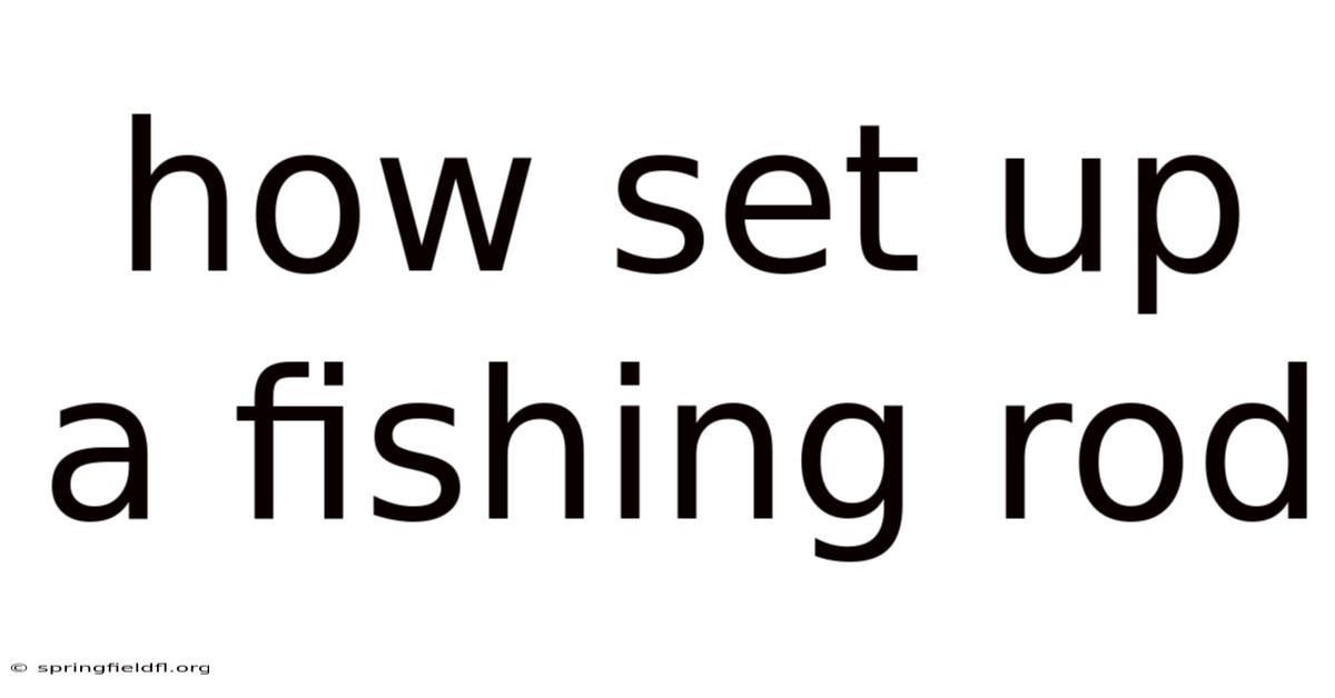 How Set Up A Fishing Rod