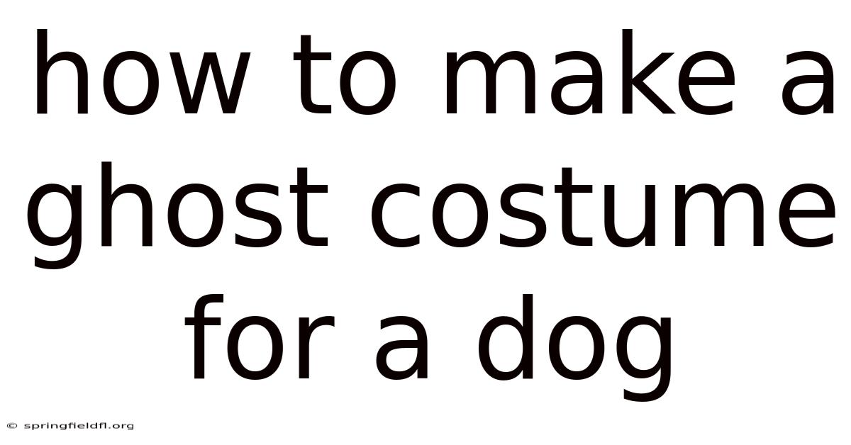 How To Make A Ghost Costume For A Dog