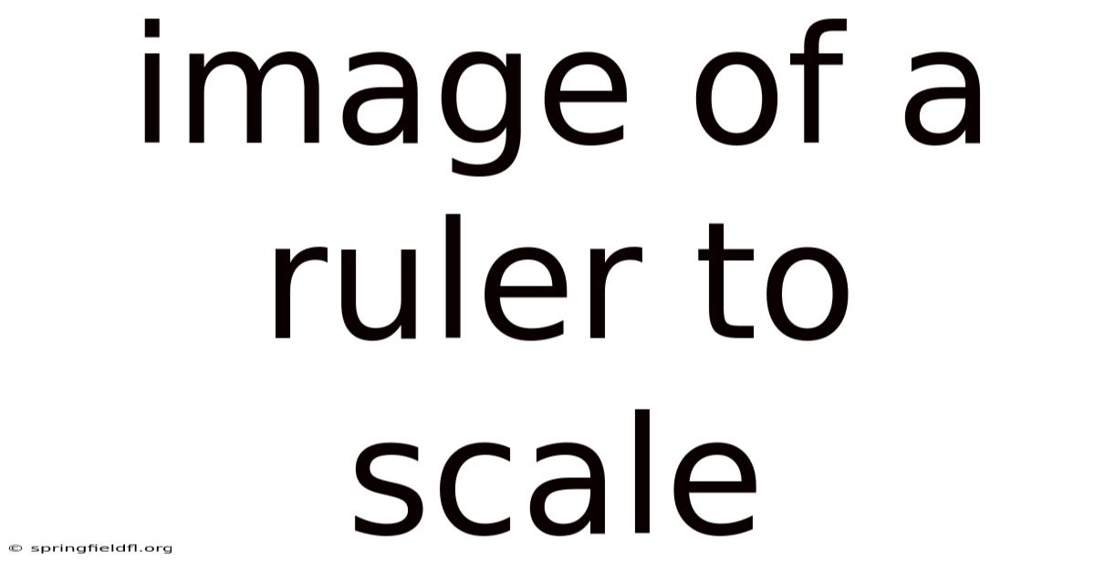 Image Of A Ruler To Scale