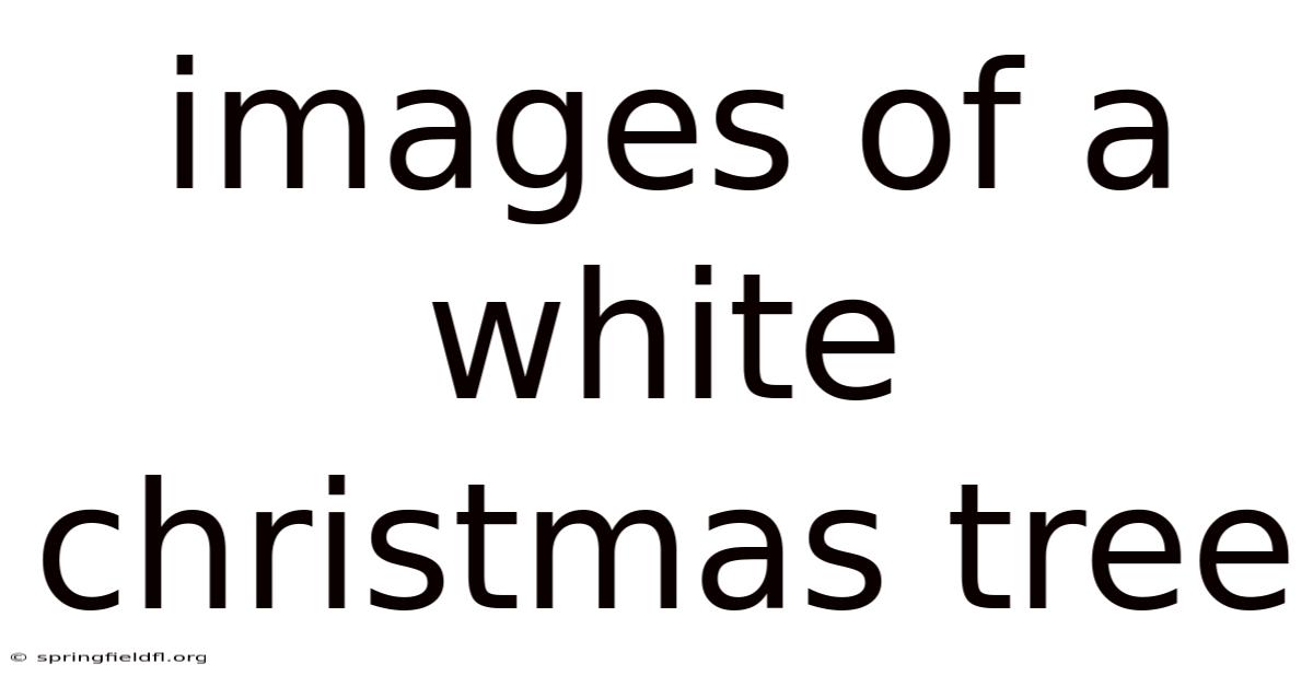 Images Of A White Christmas Tree