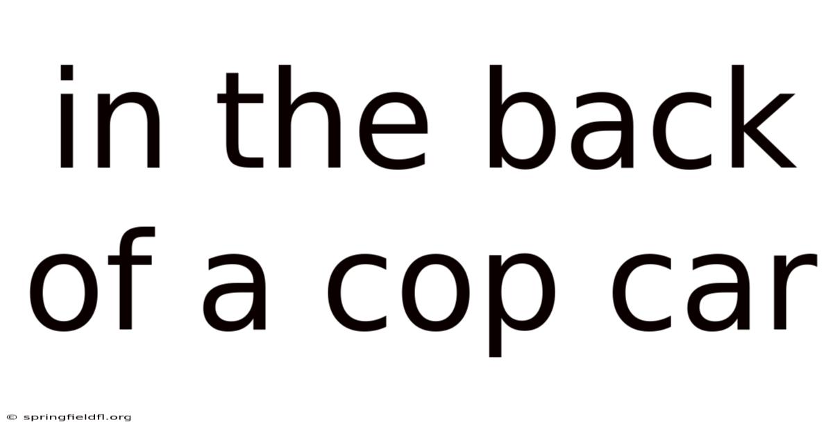 In The Back Of A Cop Car