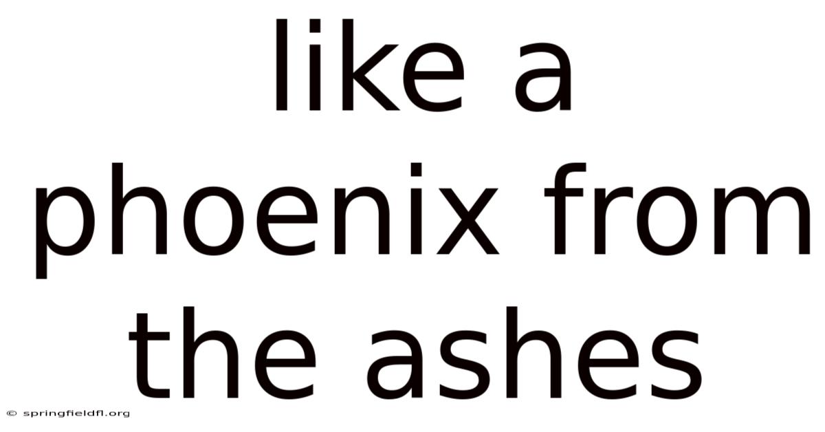 Like A Phoenix From The Ashes