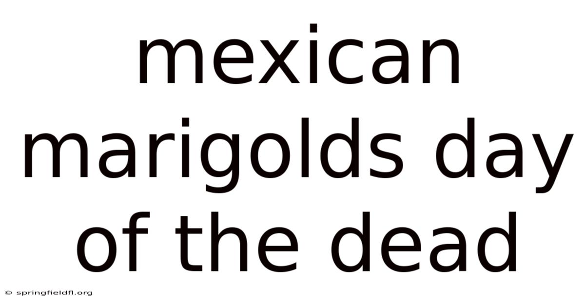 Mexican Marigolds Day Of The Dead