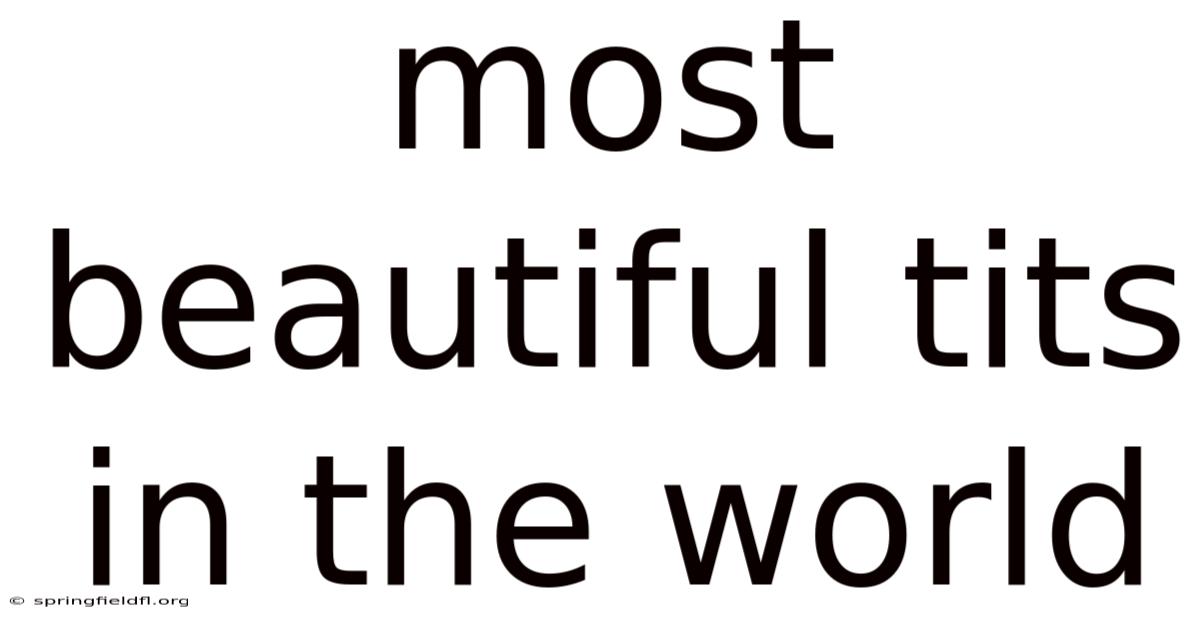 Most Beautiful Tits In The World