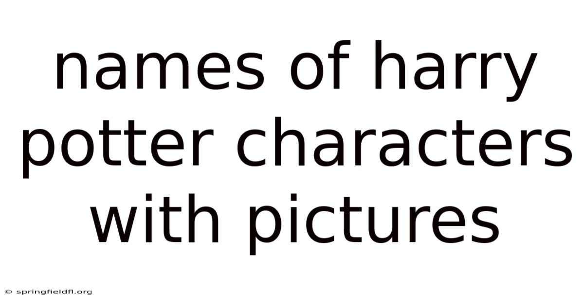 Names Of Harry Potter Characters With Pictures