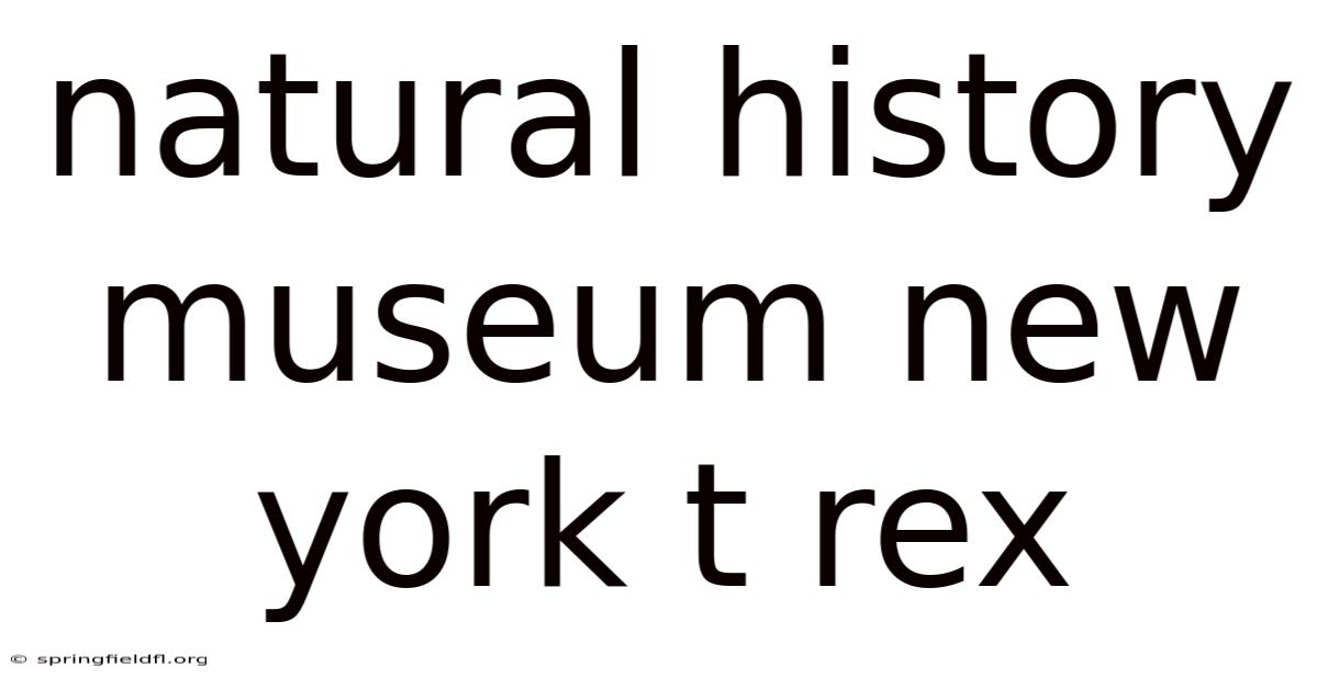 Natural History Museum New York T Rex