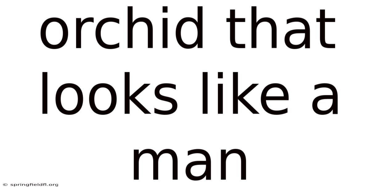Orchid That Looks Like A Man