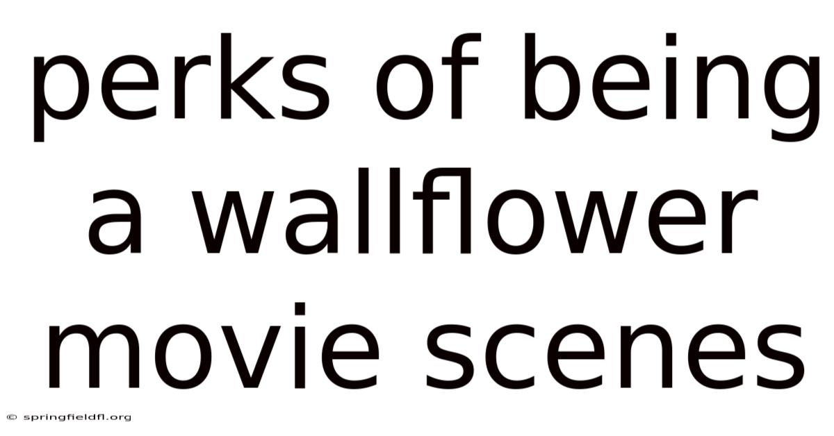 Perks Of Being A Wallflower Movie Scenes