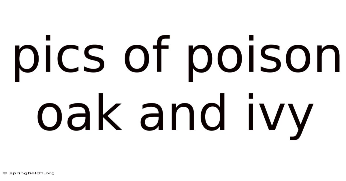 Pics Of Poison Oak And Ivy