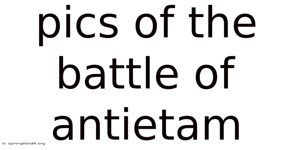 Pics Of The Battle Of Antietam