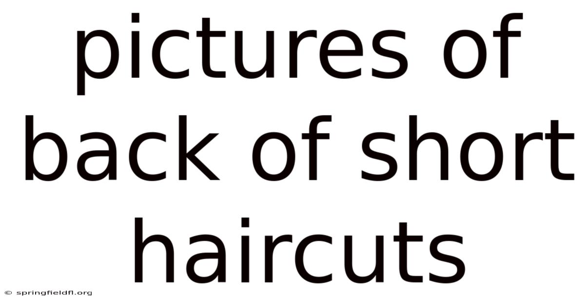 Pictures Of Back Of Short Haircuts