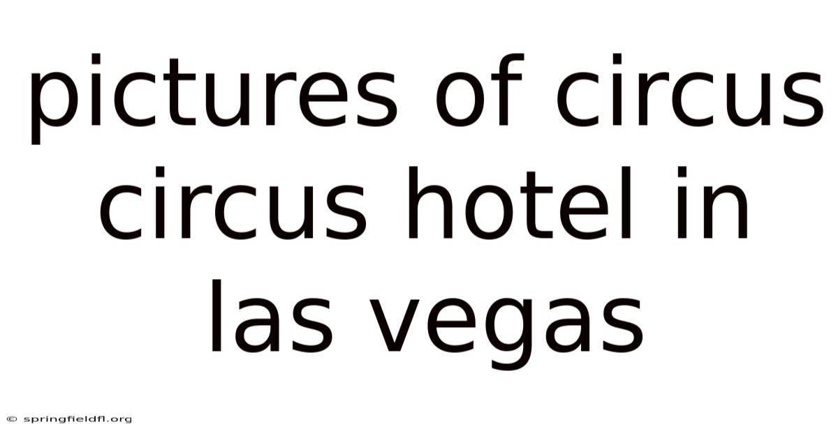 Pictures Of Circus Circus Hotel In Las Vegas