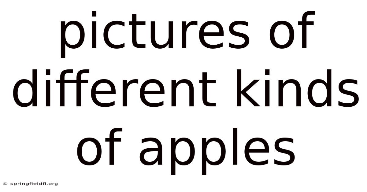 Pictures Of Different Kinds Of Apples