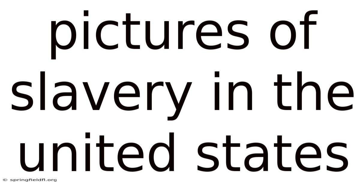 Pictures Of Slavery In The United States