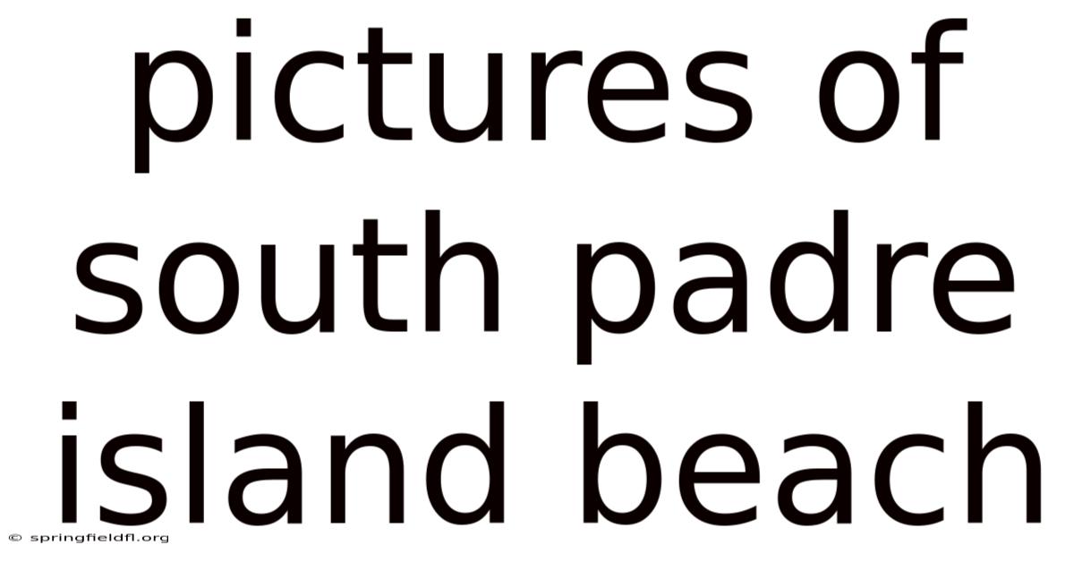 Pictures Of South Padre Island Beach