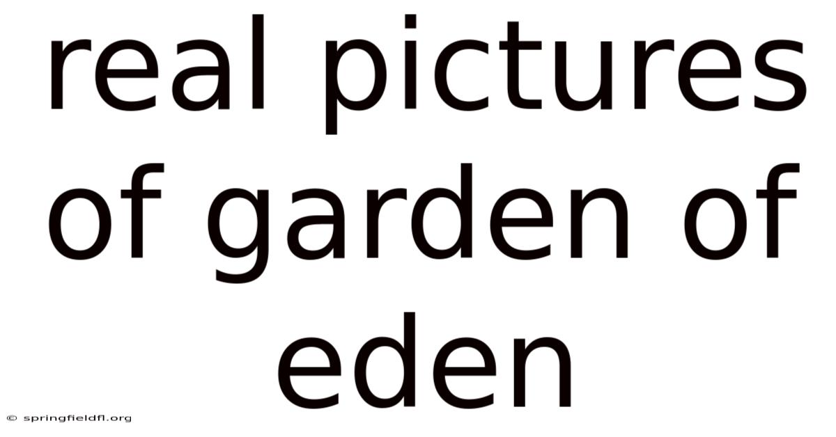 Real Pictures Of Garden Of Eden