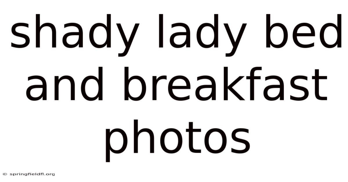 Shady Lady Bed And Breakfast Photos