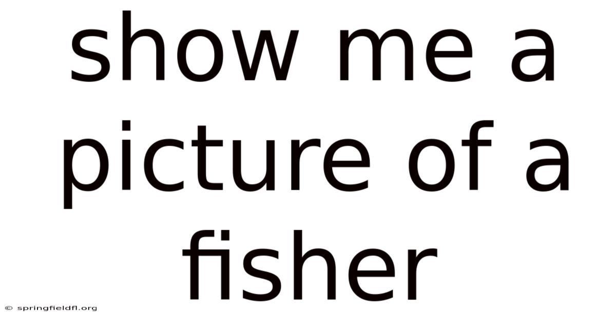 Show Me A Picture Of A Fisher