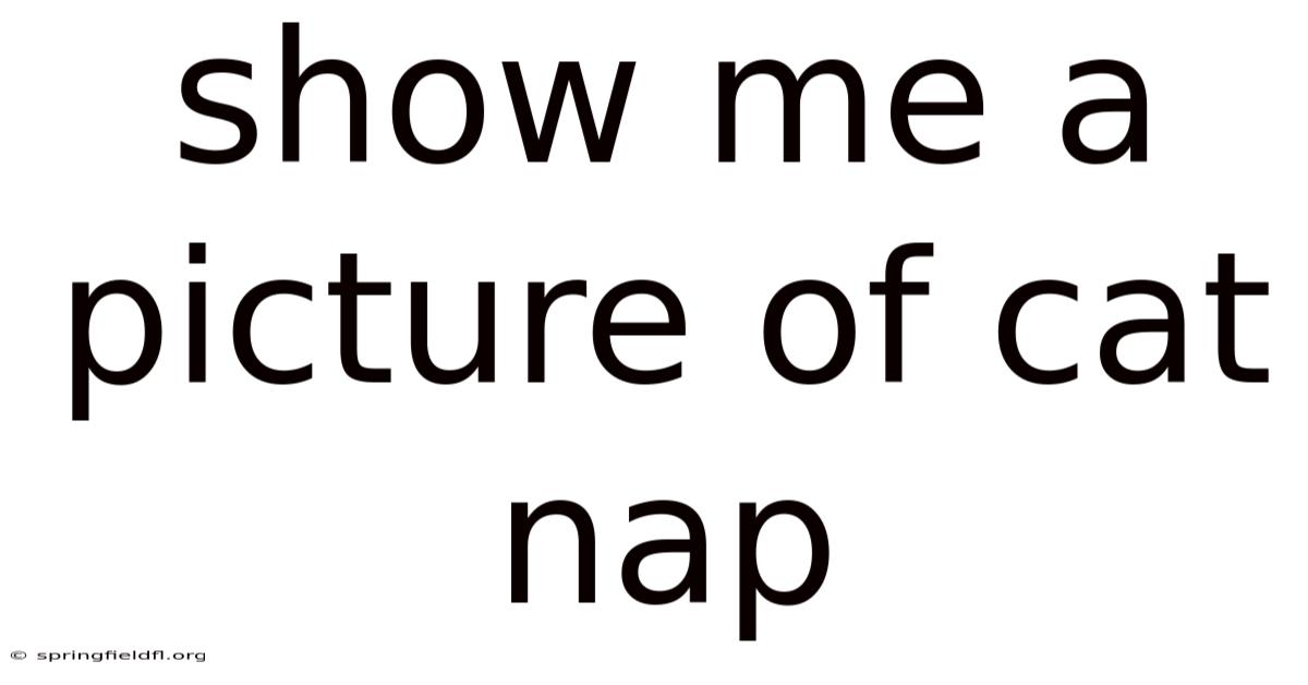 Show Me A Picture Of Cat Nap