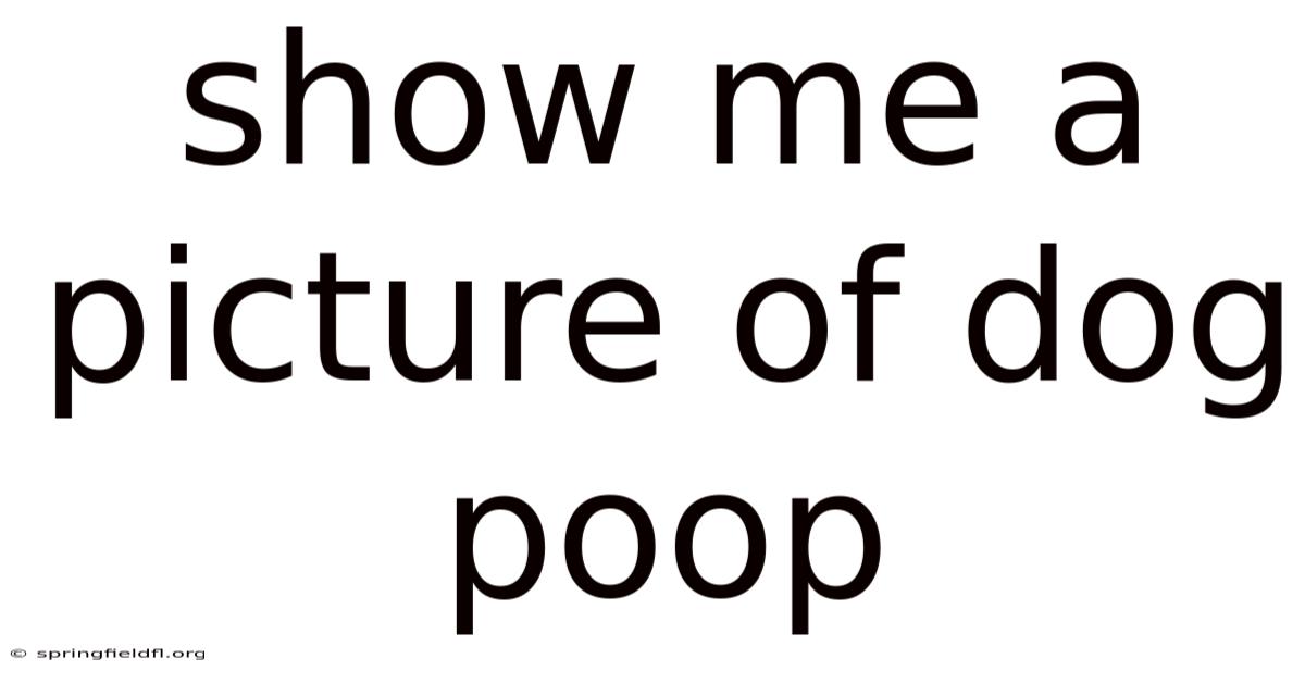 Show Me A Picture Of Dog Poop