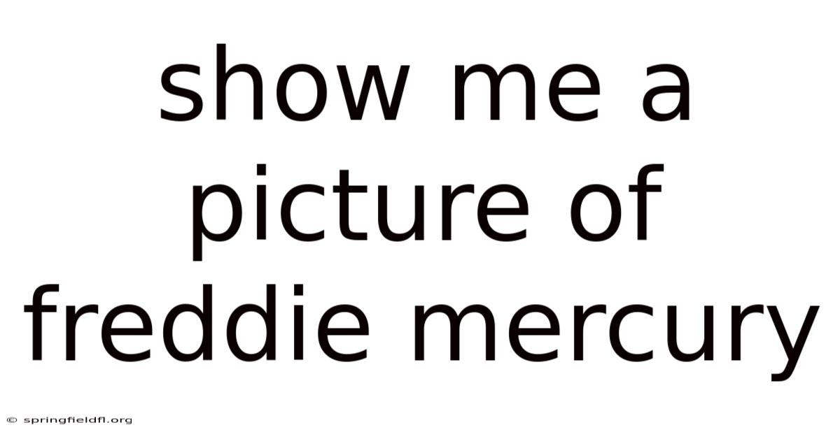 Show Me A Picture Of Freddie Mercury