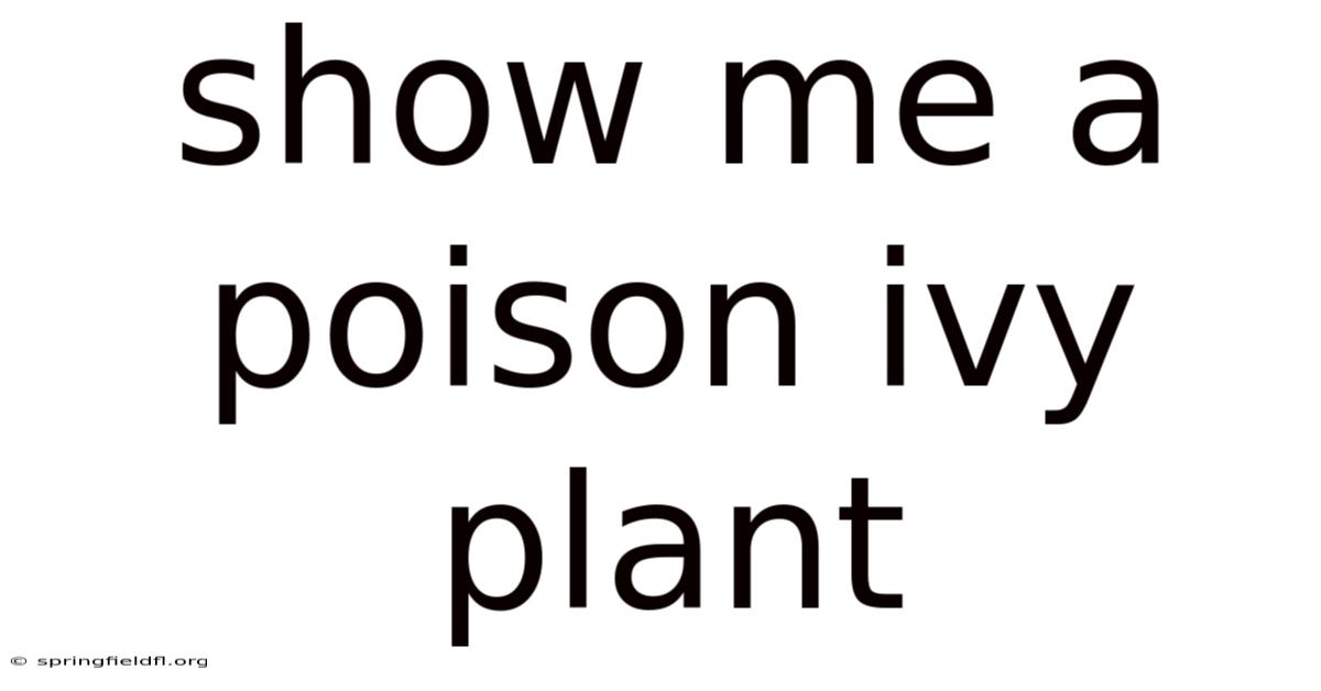 Show Me A Poison Ivy Plant