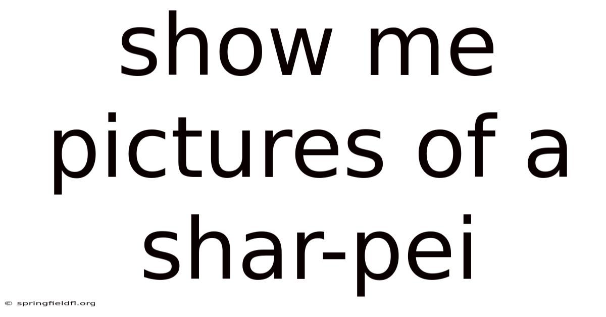 Show Me Pictures Of A Shar-pei