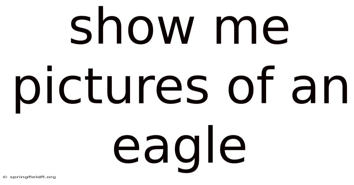 Show Me Pictures Of An Eagle