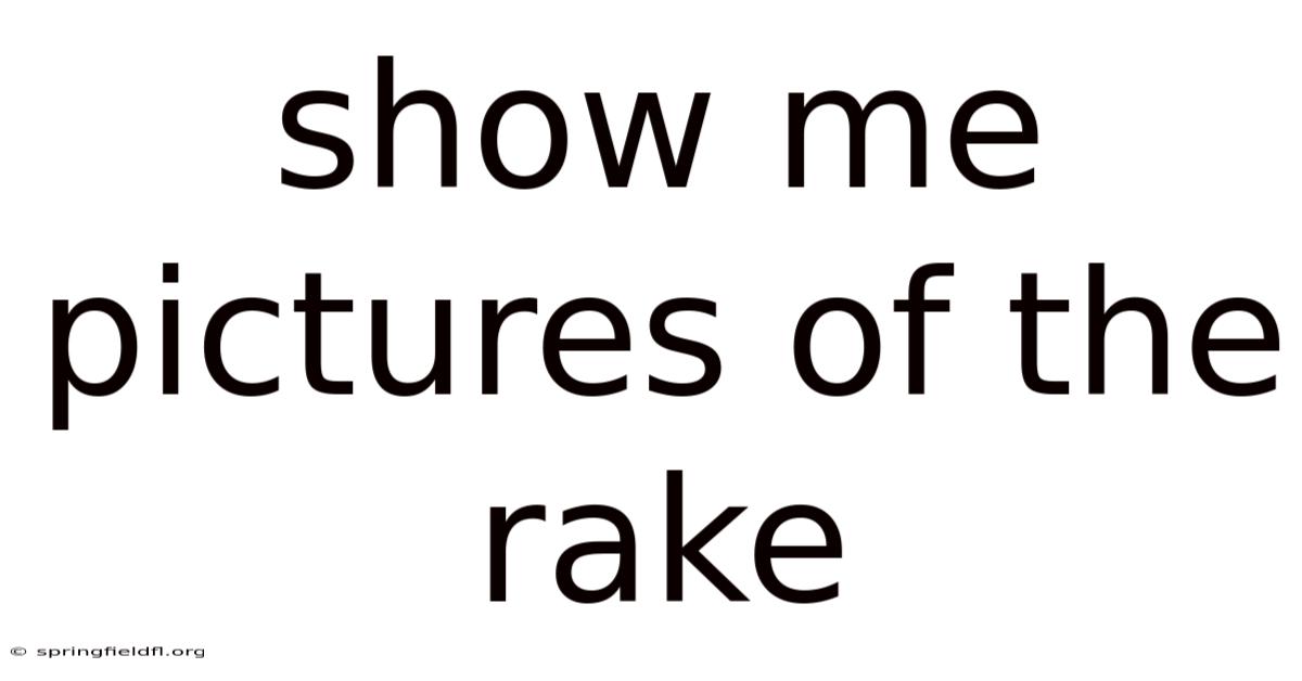 Show Me Pictures Of The Rake