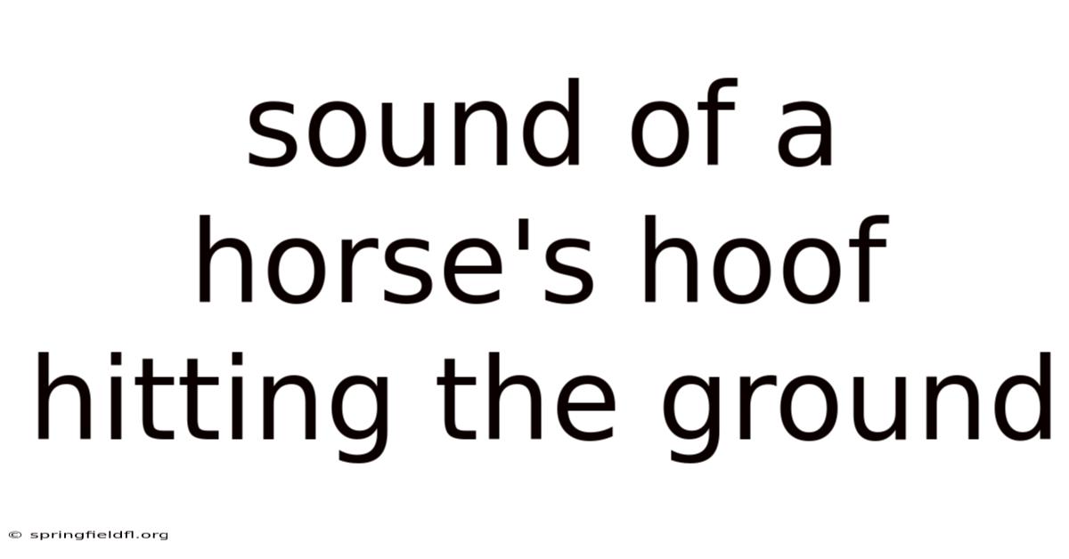 Sound Of A Horse's Hoof Hitting The Ground