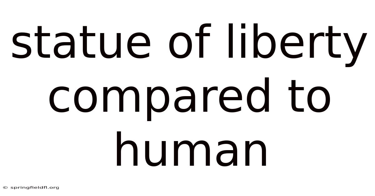 Statue Of Liberty Compared To Human
