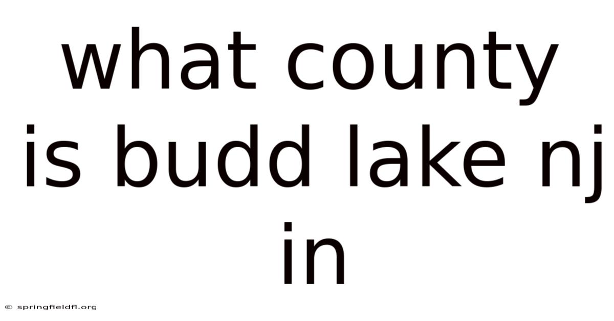 What County Is Budd Lake Nj In