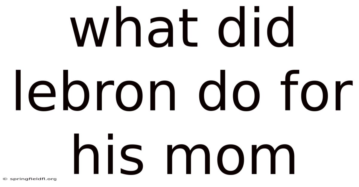 What Did Lebron Do For His Mom