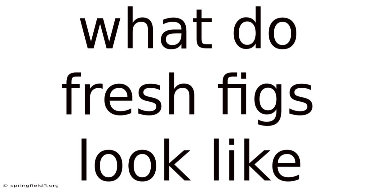 What Do Fresh Figs Look Like