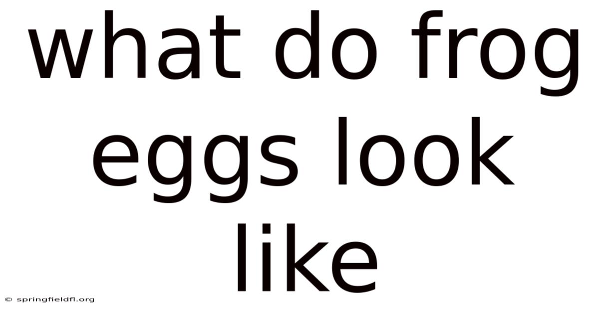 What Do Frog Eggs Look Like